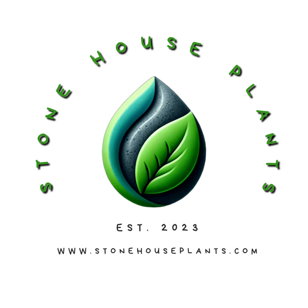 Stone House Plants